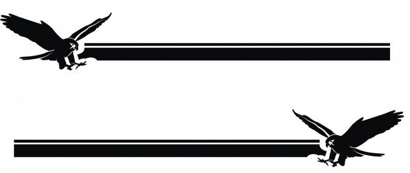 camper caravan bus sticker set eagle stripe, The River House, Info@theriverhouse.nl, Nieuw, Ophalen of Verzenden