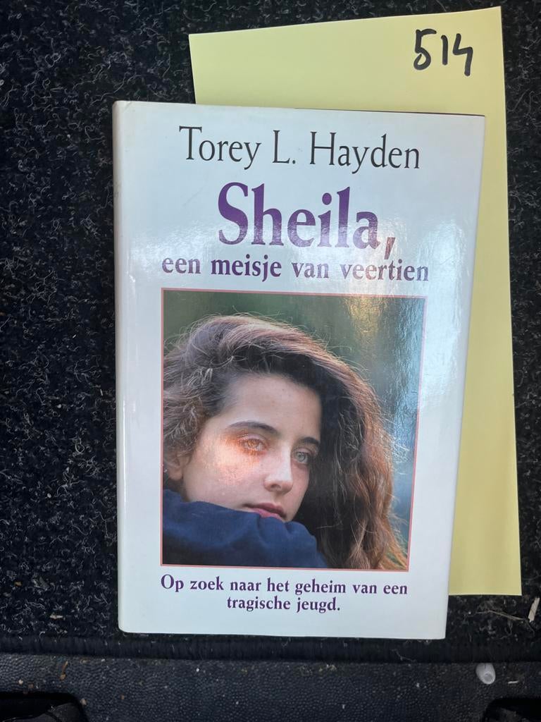 Sheila, een meisje van veertien - Torey L. Hayden, Ophalen of Verzenden, Zo goed als nieuw, Nederland