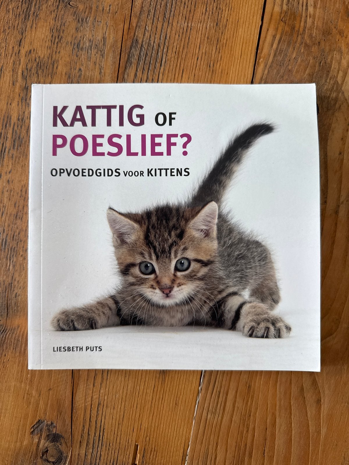 Kattig of Poeslief? Opvoedgids voor Kittens, Boeken, Dieren en Huisdieren, Ophalen, Zo goed als nieuw, Katten
