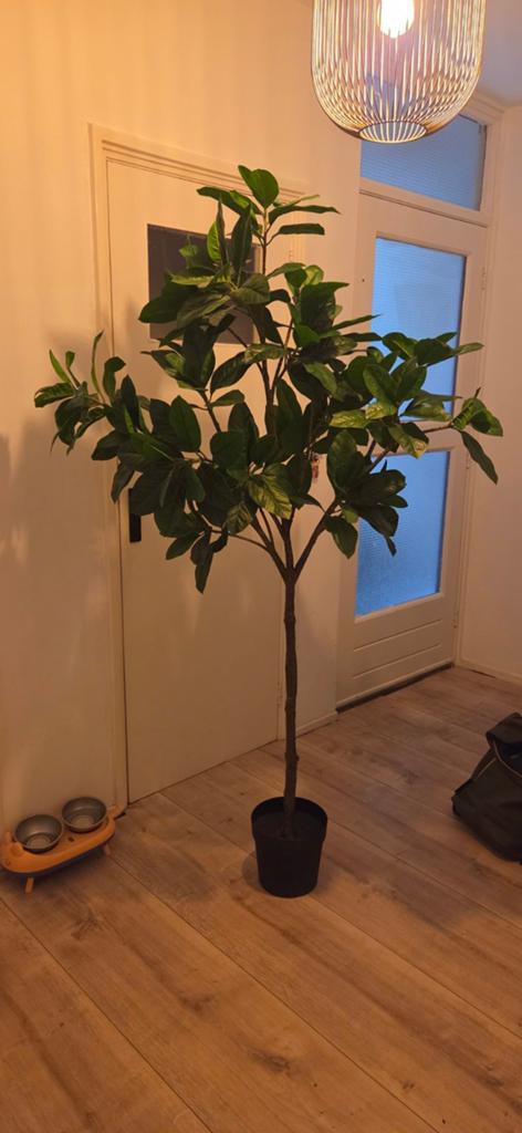 FEYKA kunstplant Ikea, Ophalen, Binnen, Groen, Kunstplant