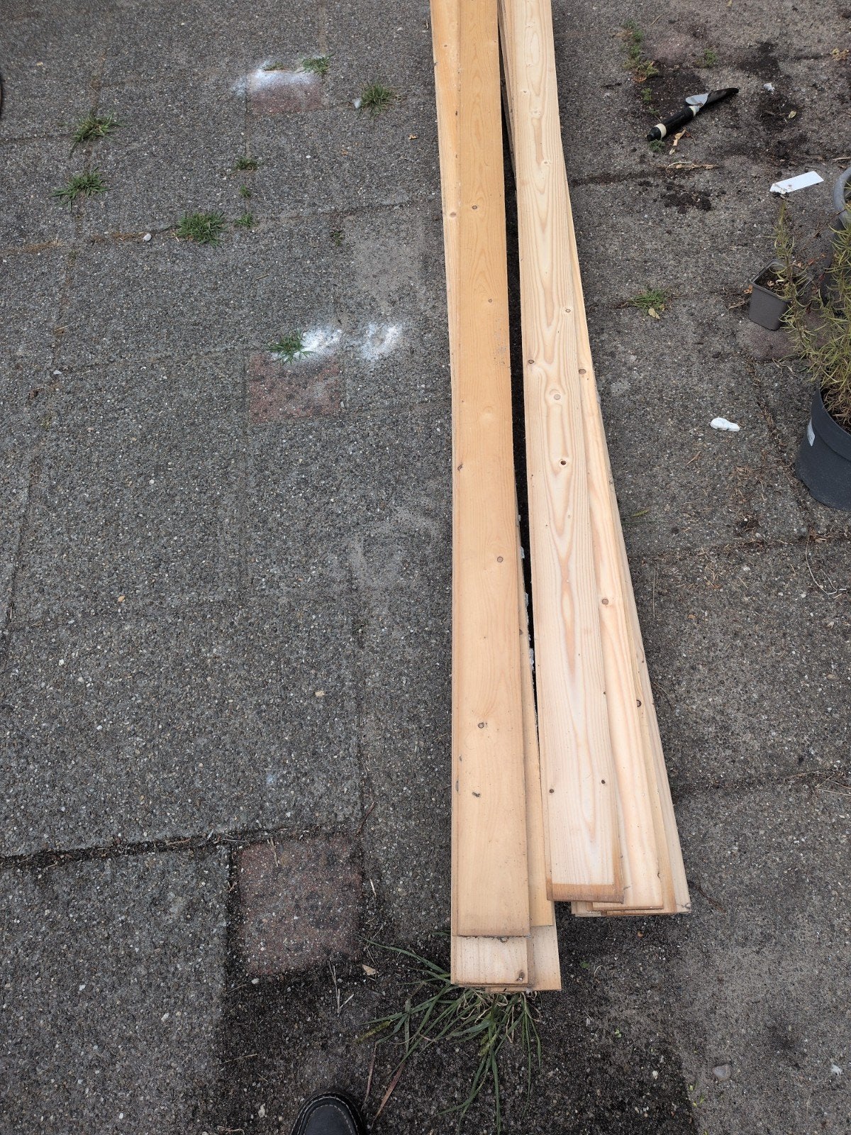 18 Profiel planken grenen 10x232x1,5cm, Ophalen, Gebruikt, 25 tot 50 mm, 200 tot 250 cm