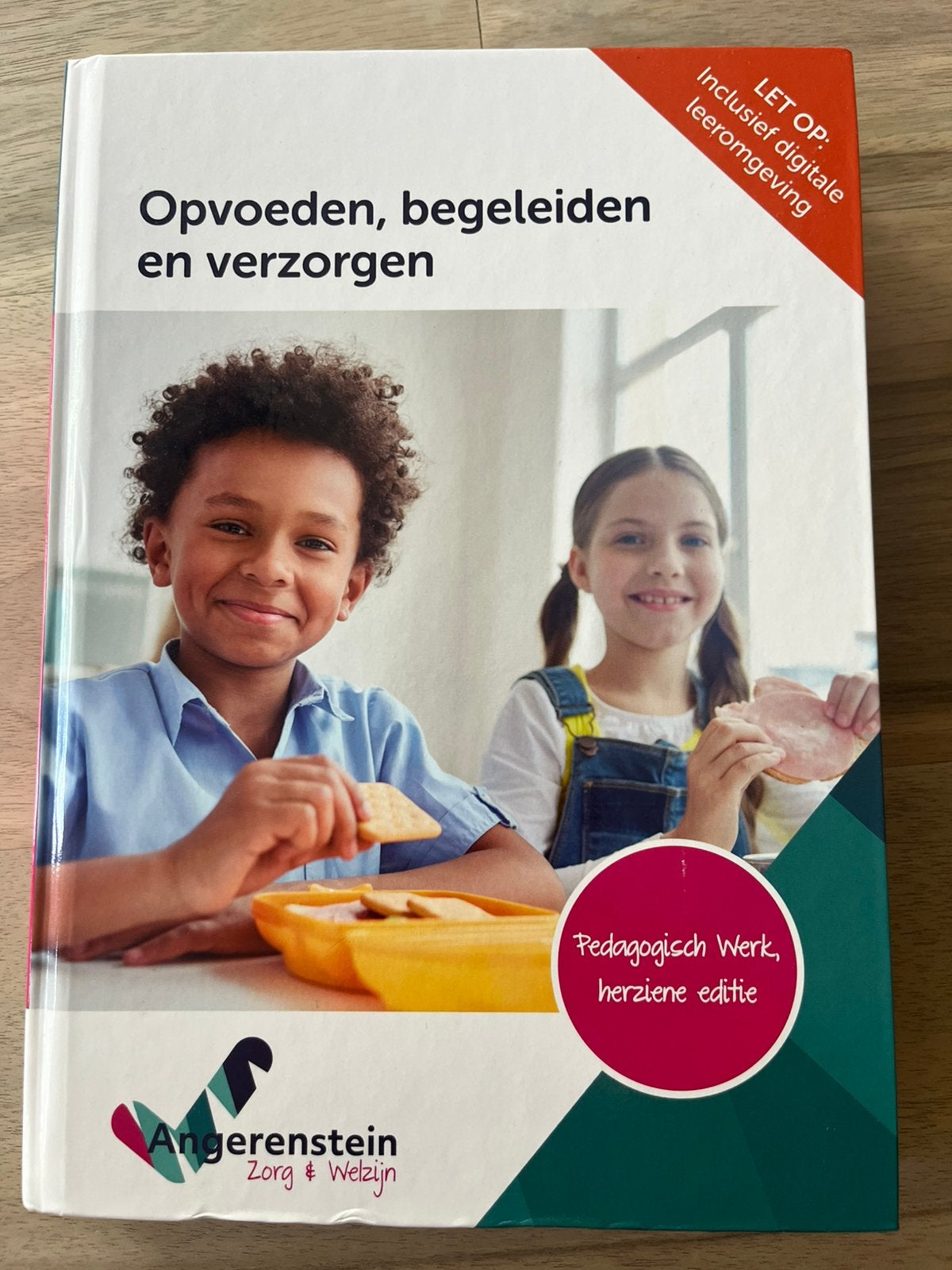 Opvoeden, begeleiden en verzorgen - Angerenstein, Boeken, Ophalen, Gelezen, MBO