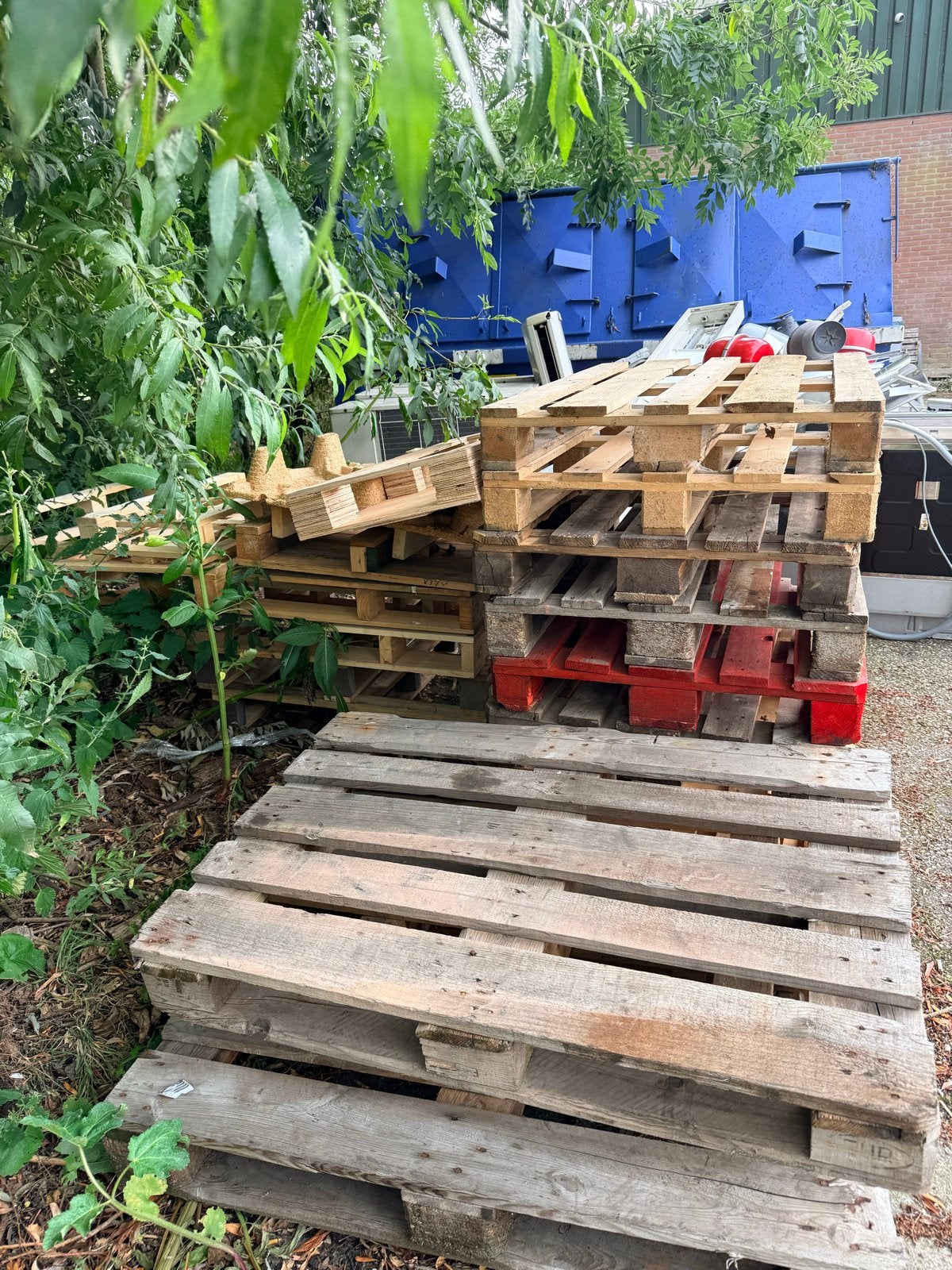 Pallets haardhout - Diverse houtsoorten, Minder dan 3 m³, Ophalen, Overige houtsoorten, Blokken