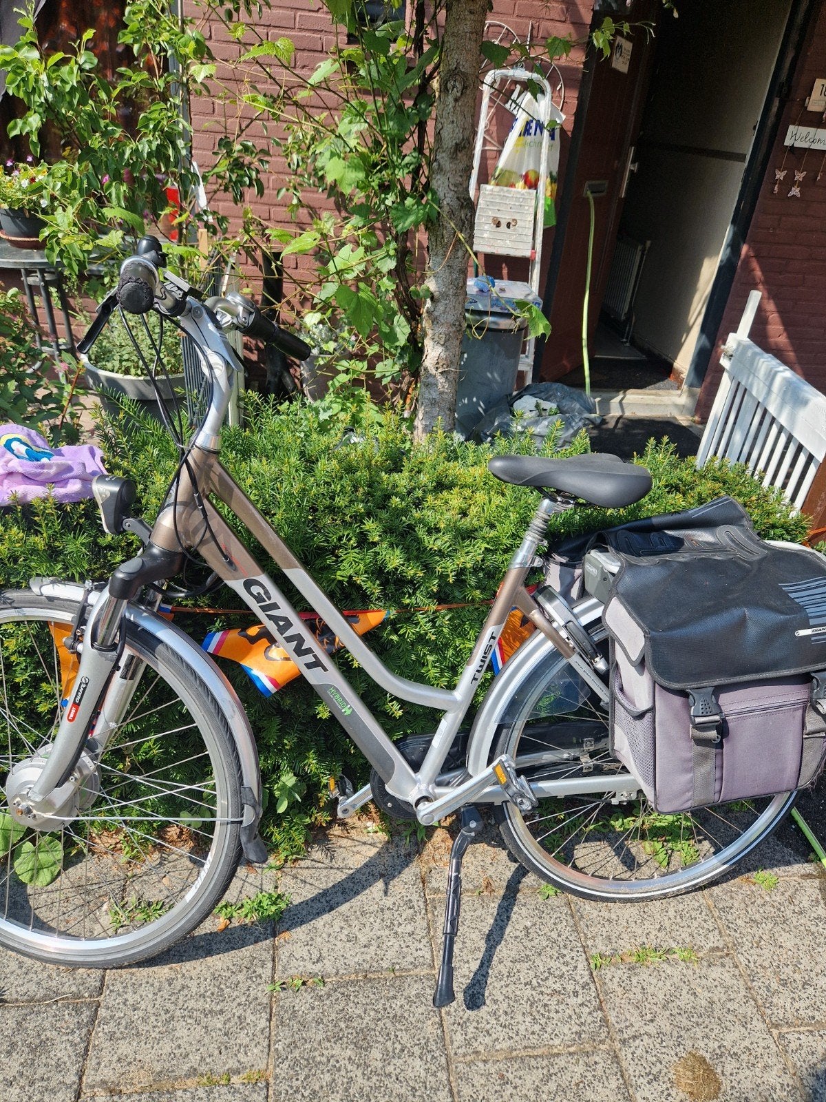 Elektrische Giant Twist fiets - Bieden vanaf 900 Euro, Ophalen of Verzenden, Gebruikt, Giant