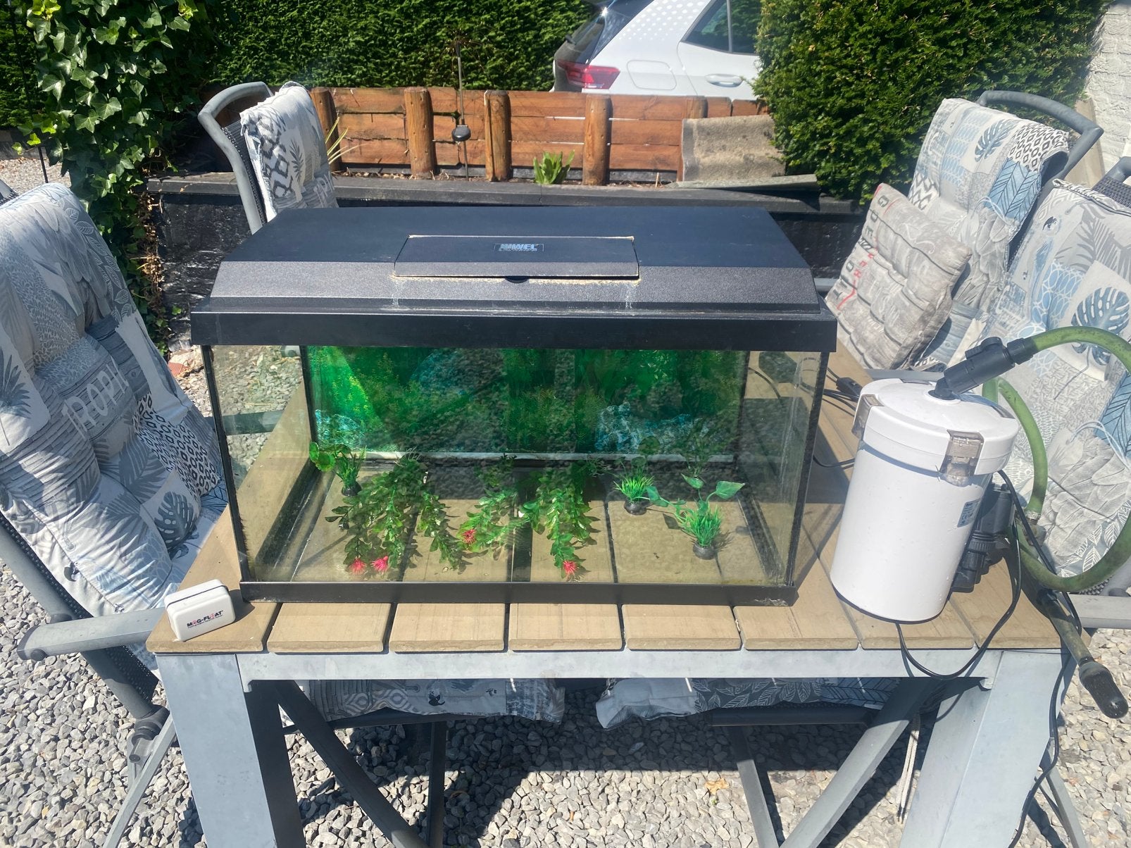 Aquarium Juwel 60L 60x30, Dieren en Toebehoren, Ophalen, Zo goed als nieuw, Gevuld zoetwateraquarium