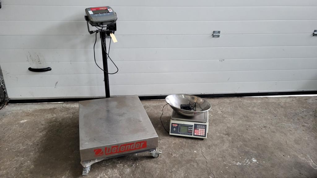 Weegschalen Defender max 300kg en Avery max 12kg, Ophalen, Gebruikt, Overige typen