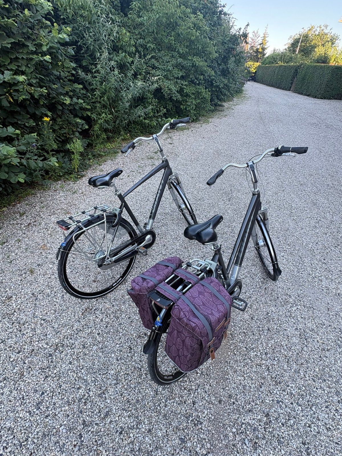 Giant Futuro fietsen - Dames M en Heren L, Fietsen en Brommers, Fietsen | Dames | Damesfietsen, Ophalen, Velgrem, Versnellingen