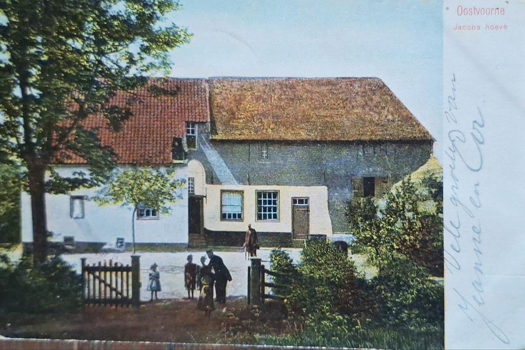 Oostvoorne - Jacoba Hoeve - 1905, Ophalen of Verzenden, Voor 1920, Gelopen, Zuid-Holland