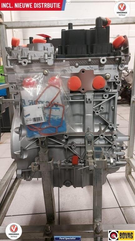 Ford 1.6 Ecoboost Motor Gereviseerd incl. Garantie, Ophalen, Ford, Ford
