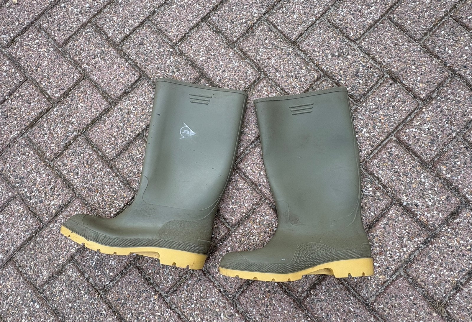 Herenlaarzen rubber Dunlop maat 46, Tuin en Terras, Werkkleding, Ophalen of Verzenden, Gebruikt, Heren, Laarzen