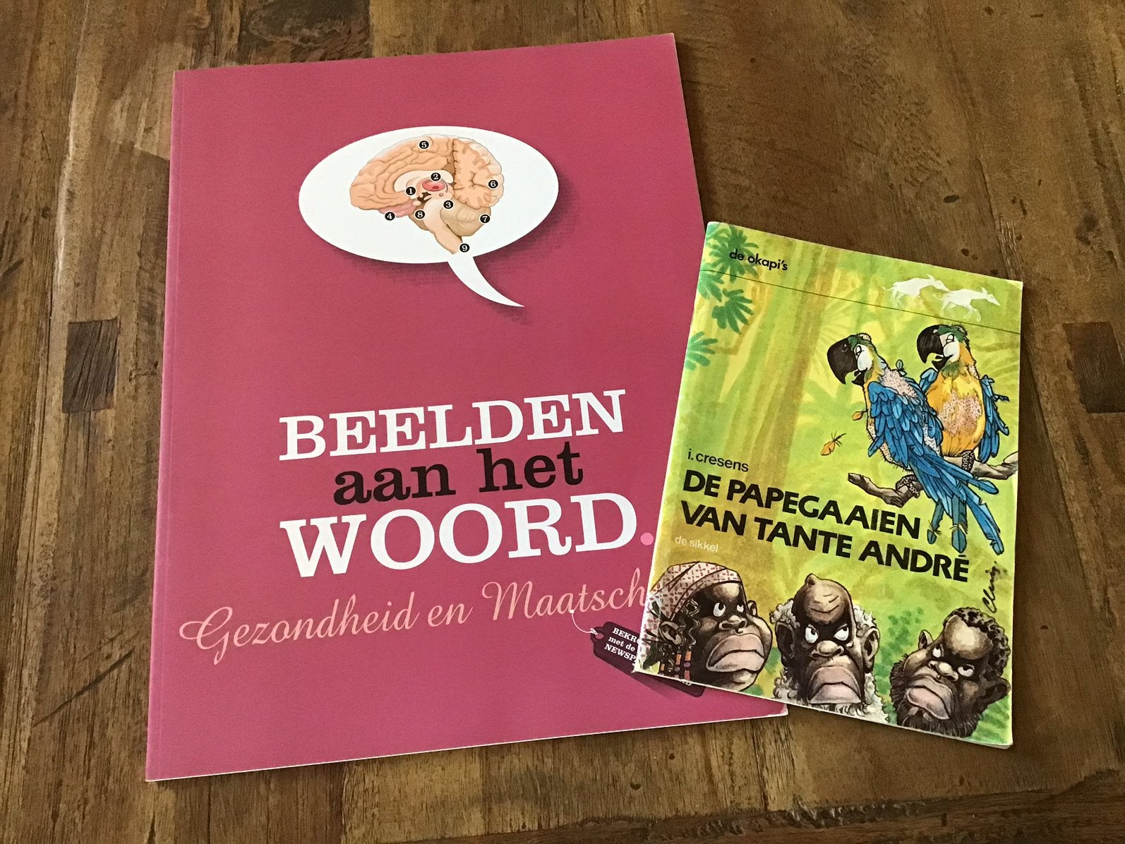 Gezondheid en maatschappij, Ophalen of Verzenden, Zo goed als nieuw