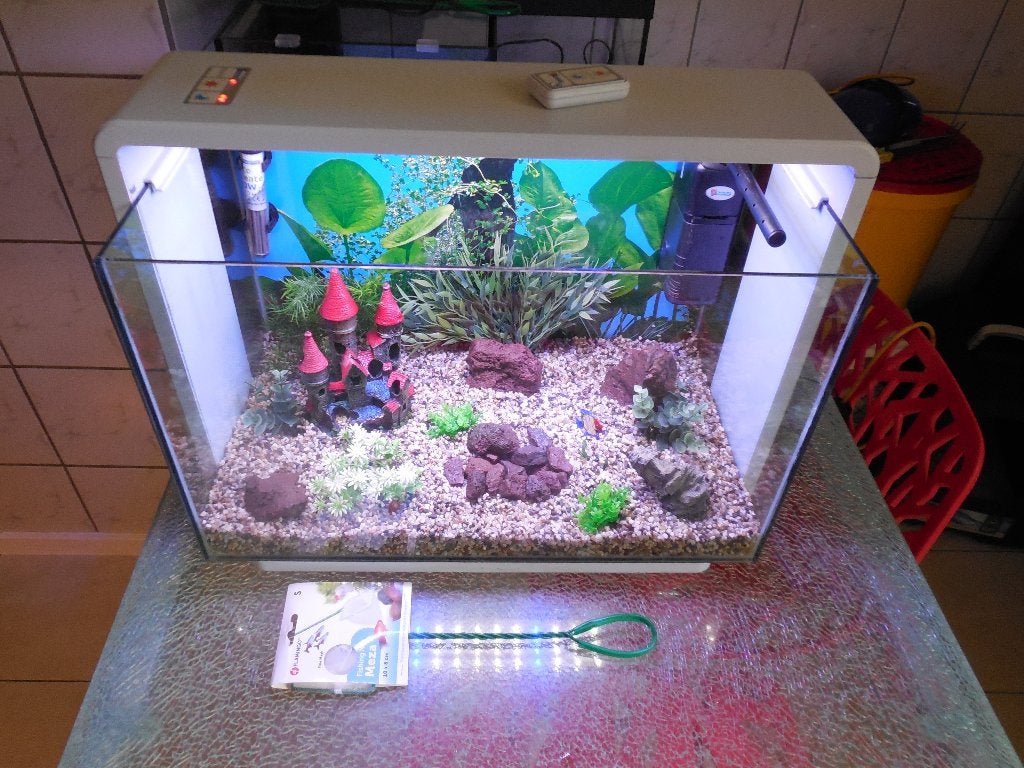 compleet design aquarium superfish home proled 65, Gebruikt, Leeg aquarium, Superfish, Ophalen