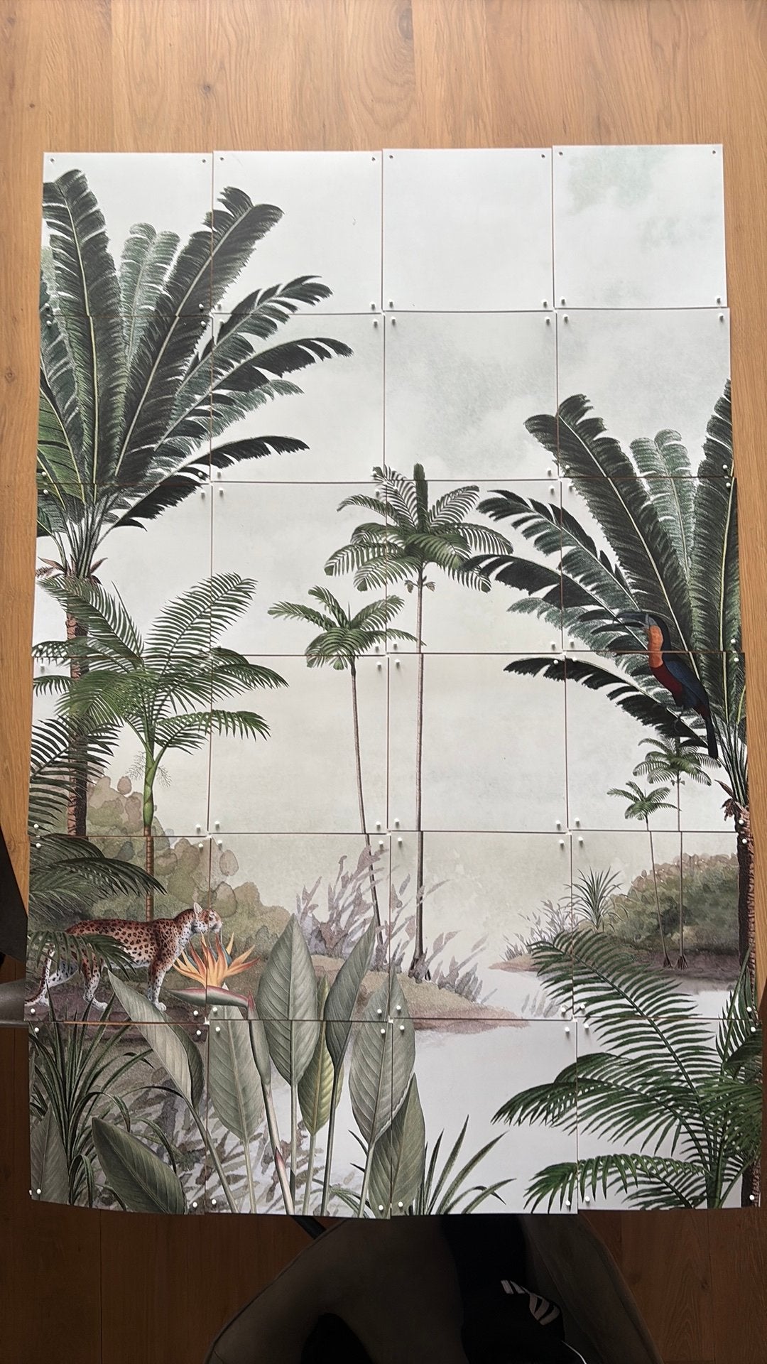 IXXI Rainforest 60x80 4x6, Ophalen of Verzenden