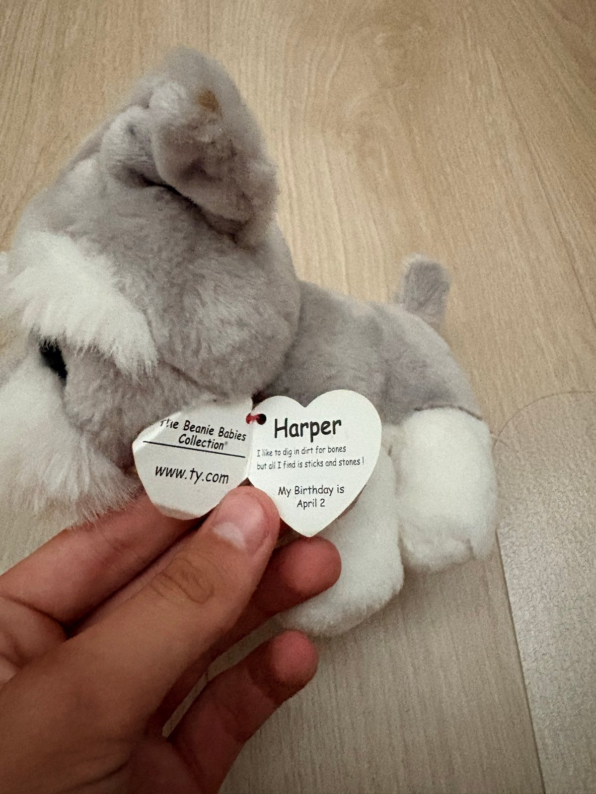 Ty Beanie Babies Harper de Schnauzer knuffel, Kinderen en Baby's, Speelgoed | Knuffels en Pluche, Ophalen, Grijs, Hond, Klein (minder dan 20 cm)