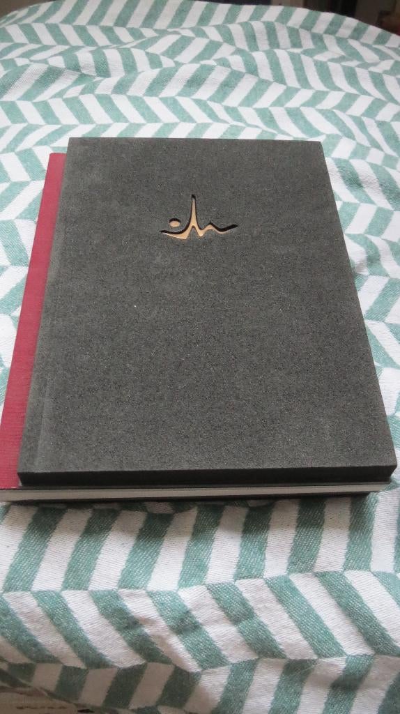 Jubileum boek Wishaupt 65 jaar, incl. bronzen ketting hanger, Verzenden, Beeldhouwkunst, Nieuw, Wishaupt