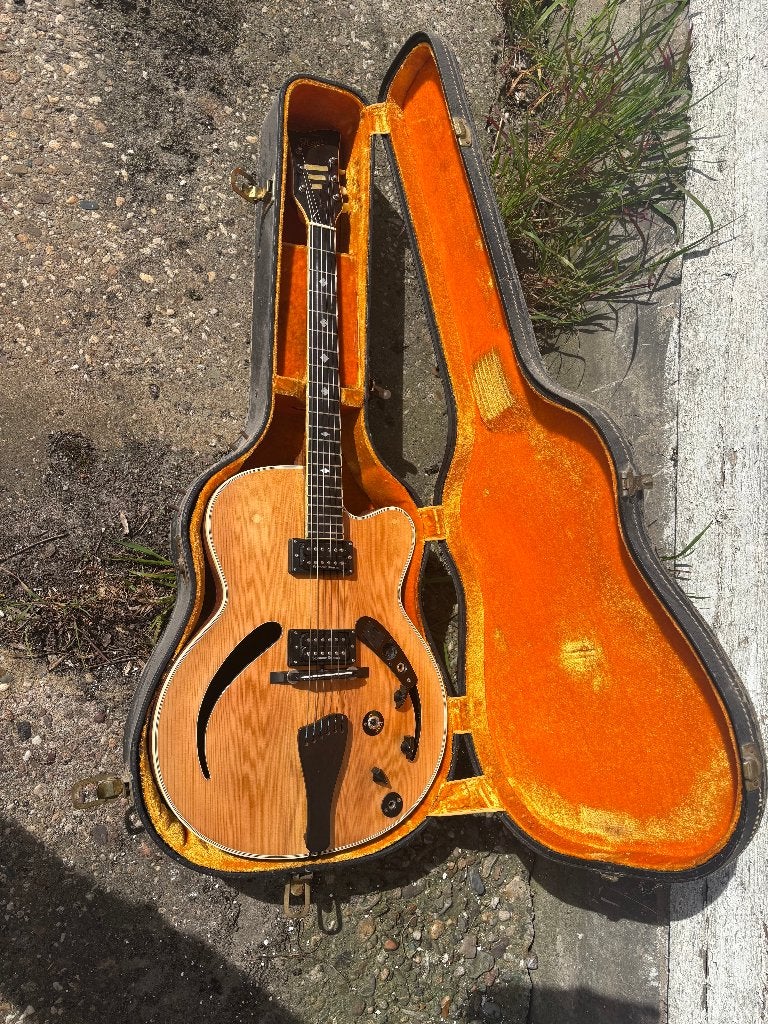 Hoyer jazz gitaar, Ophalen of Verzenden, Gebruikt, Hollow body, Overige merken