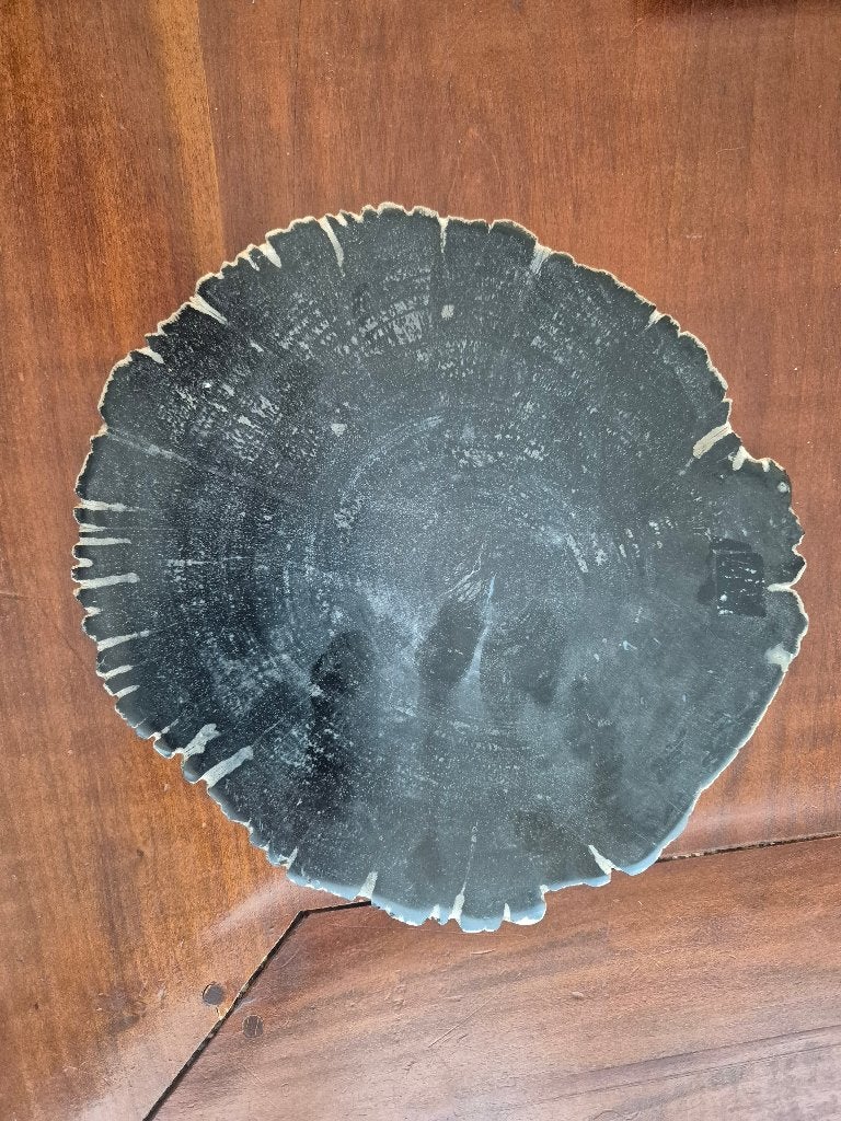 2 schijven versteend hout, Verzenden