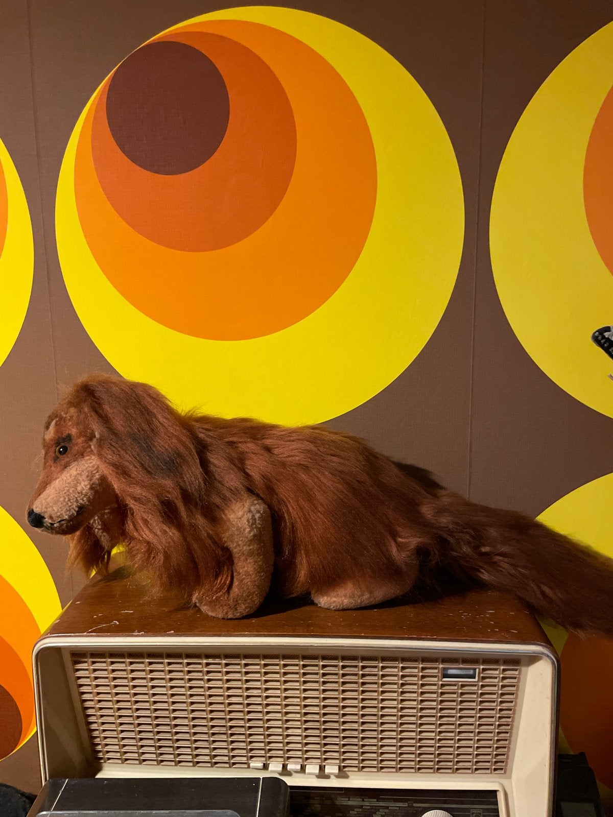 Vintage Steiff Teckel Dackel Langharig Hond Knuffel, Ophalen, Zo goed als nieuw