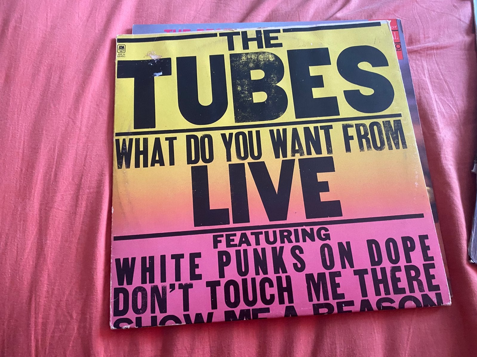 The Tubes, Ophalen of Verzenden, Zo goed als nieuw, 12 inch