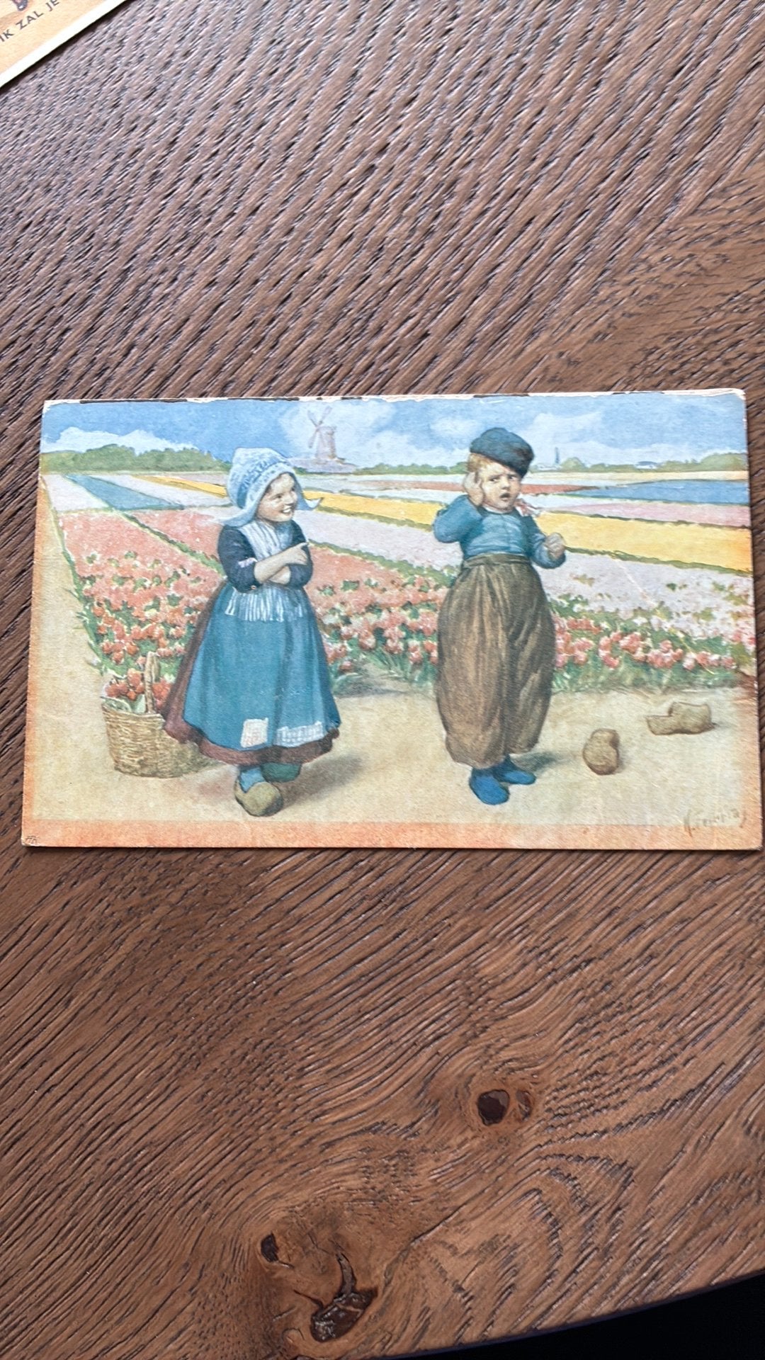 Typisch Holland.Kinderen in de bollenstreek. Klompen, Ophalen of Verzenden, Ongelopen, Kinderen
