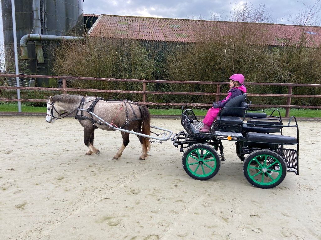 Menwagen voor pony, Gebruikt, Overige typen, Pony