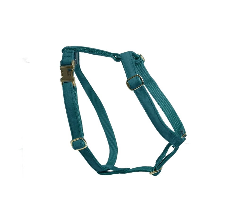 KENTUCKY Velvet Hondentuig Emerald L 58-100 cm Aanbieding!!!, Ophalen of Verzenden, Nieuw, Hondentuig