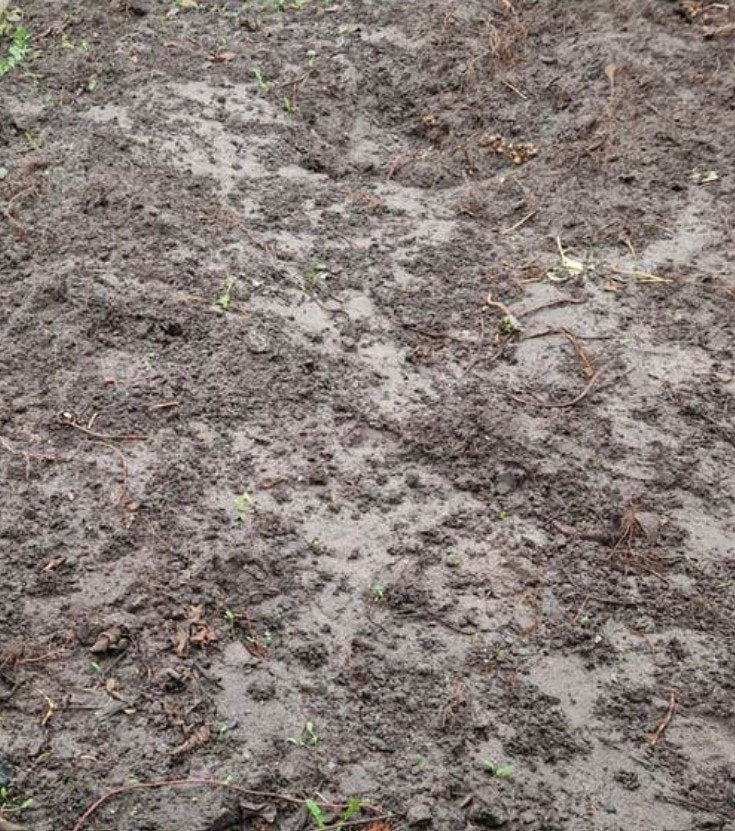 Gratis afhalen zwarte grond,tuinaarde, Tuin en Terras, Zand, Ophalen, Overige typen