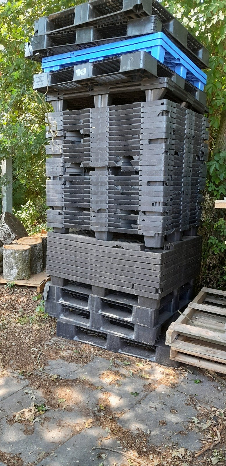 Gratis afhalen plastic pallets, Ophalen, 100 cm of meer, 60 cm of meer, Overige typen