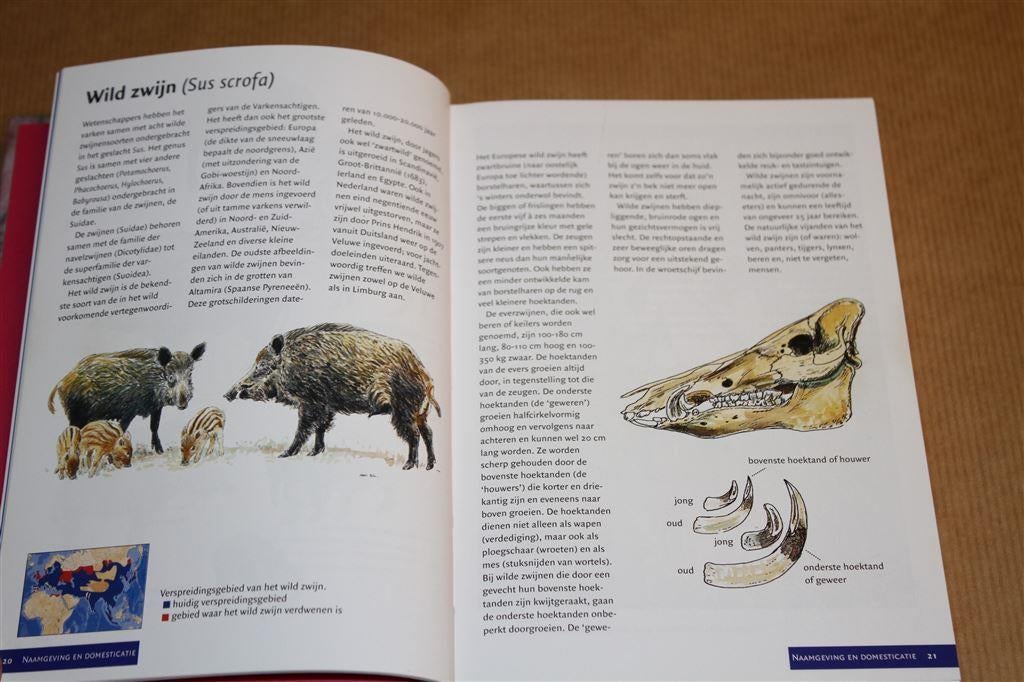 Het varkensboek. Anno Fokkinga., Ophalen of Verzenden, Zo goed als nieuw, Vogels