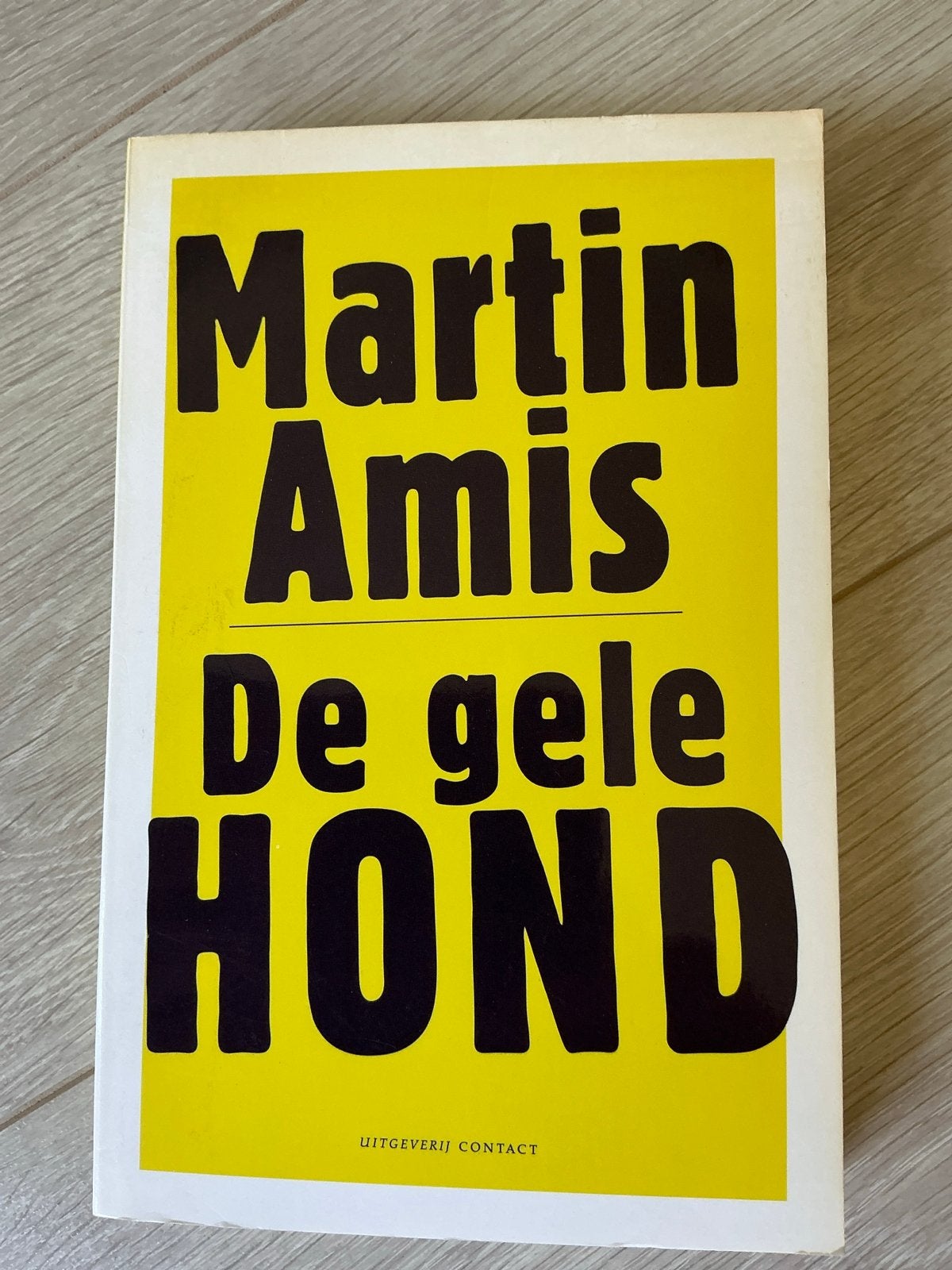 Martin Amis - De gele hond (Paperback), Ophalen of Verzenden, Gelezen, Nederland