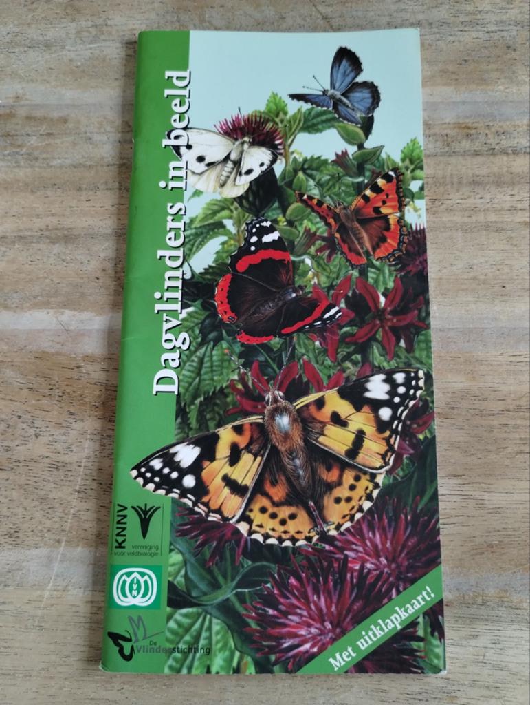 Dagvlinders in beeld - Genieten van dagvlinders, Ophalen of Verzenden, Gelezen, Natuur algemeen, Onbekend