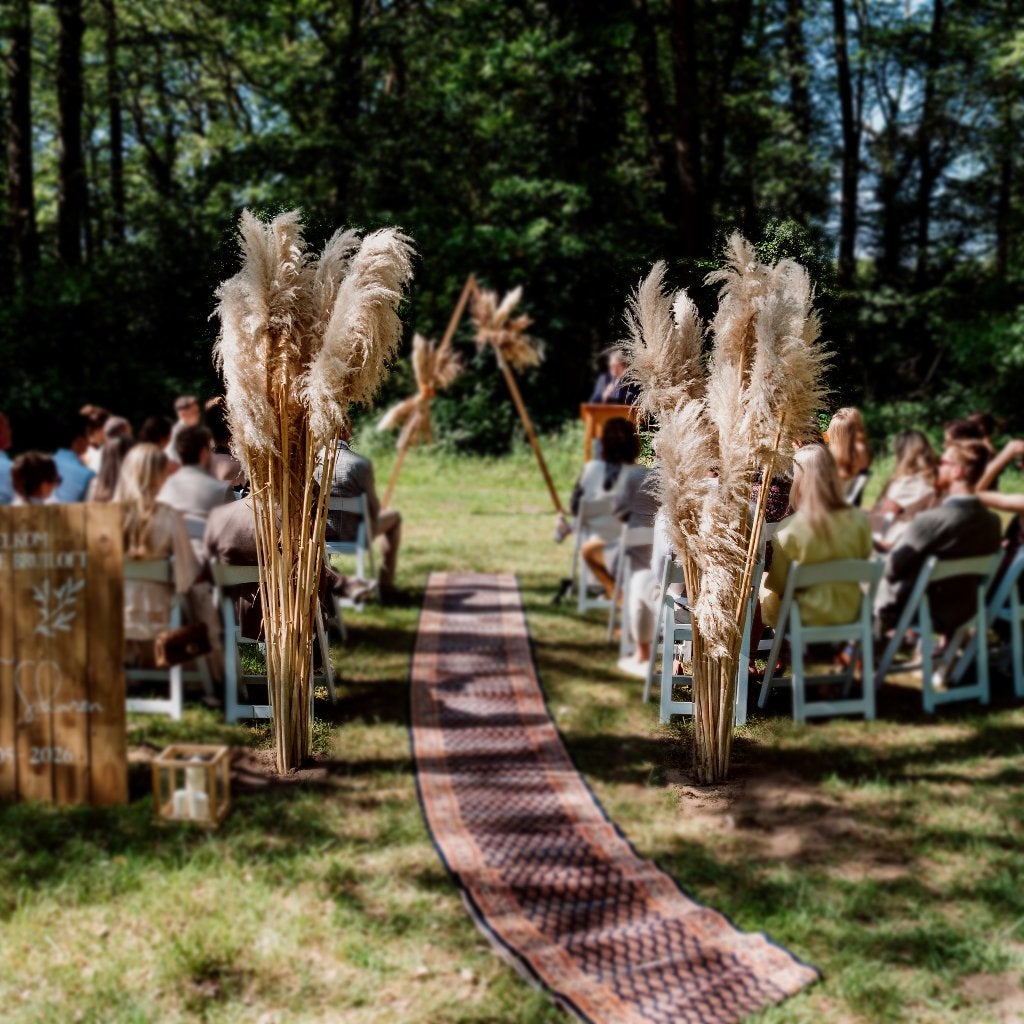 Prachtige XXL Gedroogde Pampas Pluimen, Huis en Inrichting, Woonaccessoires | Droogbloemen, Ophalen, Gebruikt