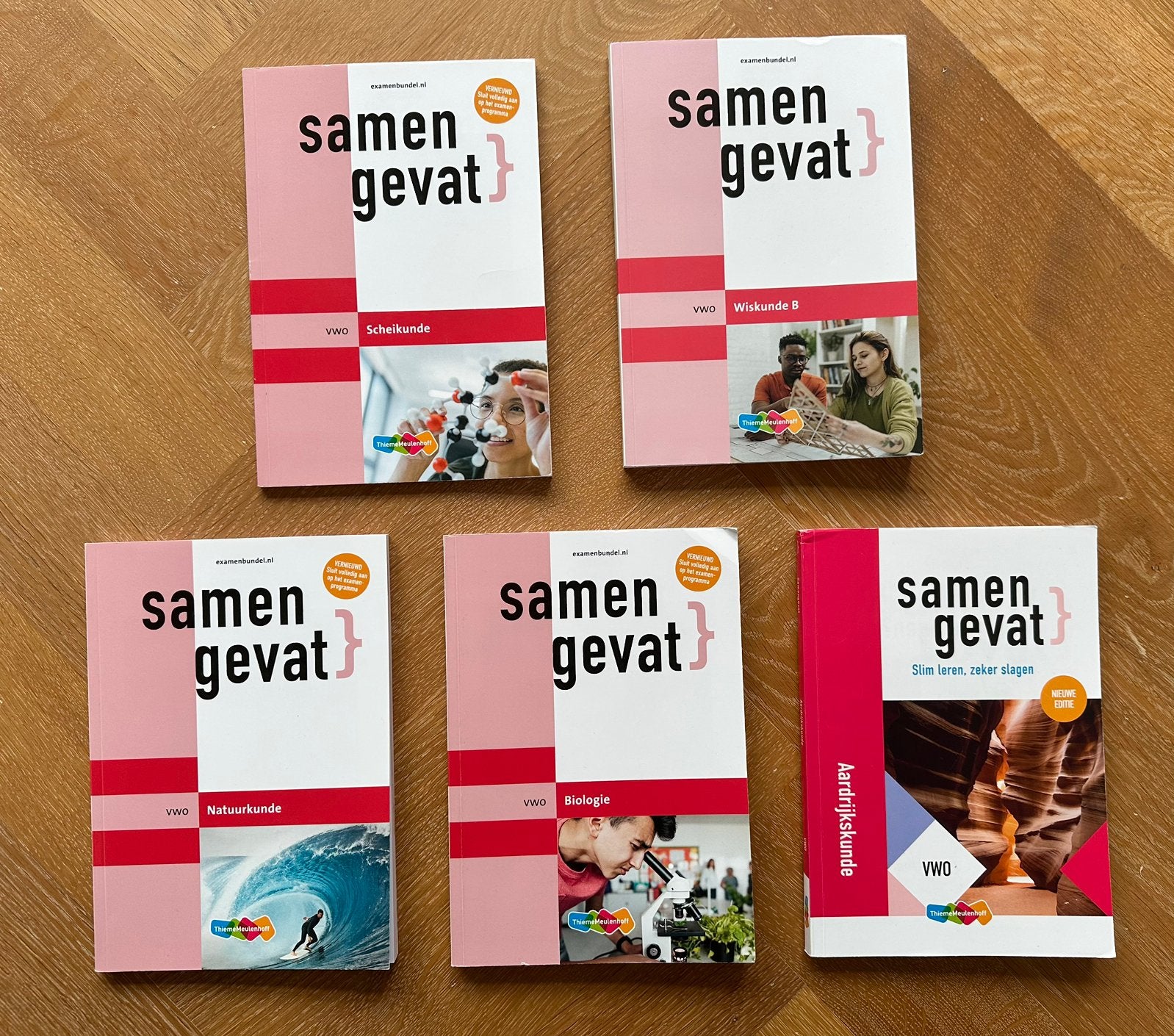 Samengevat boeken voor VWO - diverse vakken, Boeken, Schoolboeken, Ophalen of Verzenden, Zo goed als nieuw, VWO