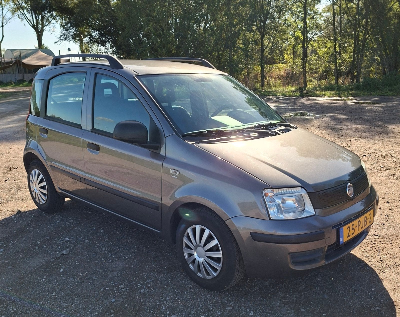Fiat Panda 1.2, Auto's, Origineel Nederlands, Handgeschakeld, Particulier, Zilver of Grijs