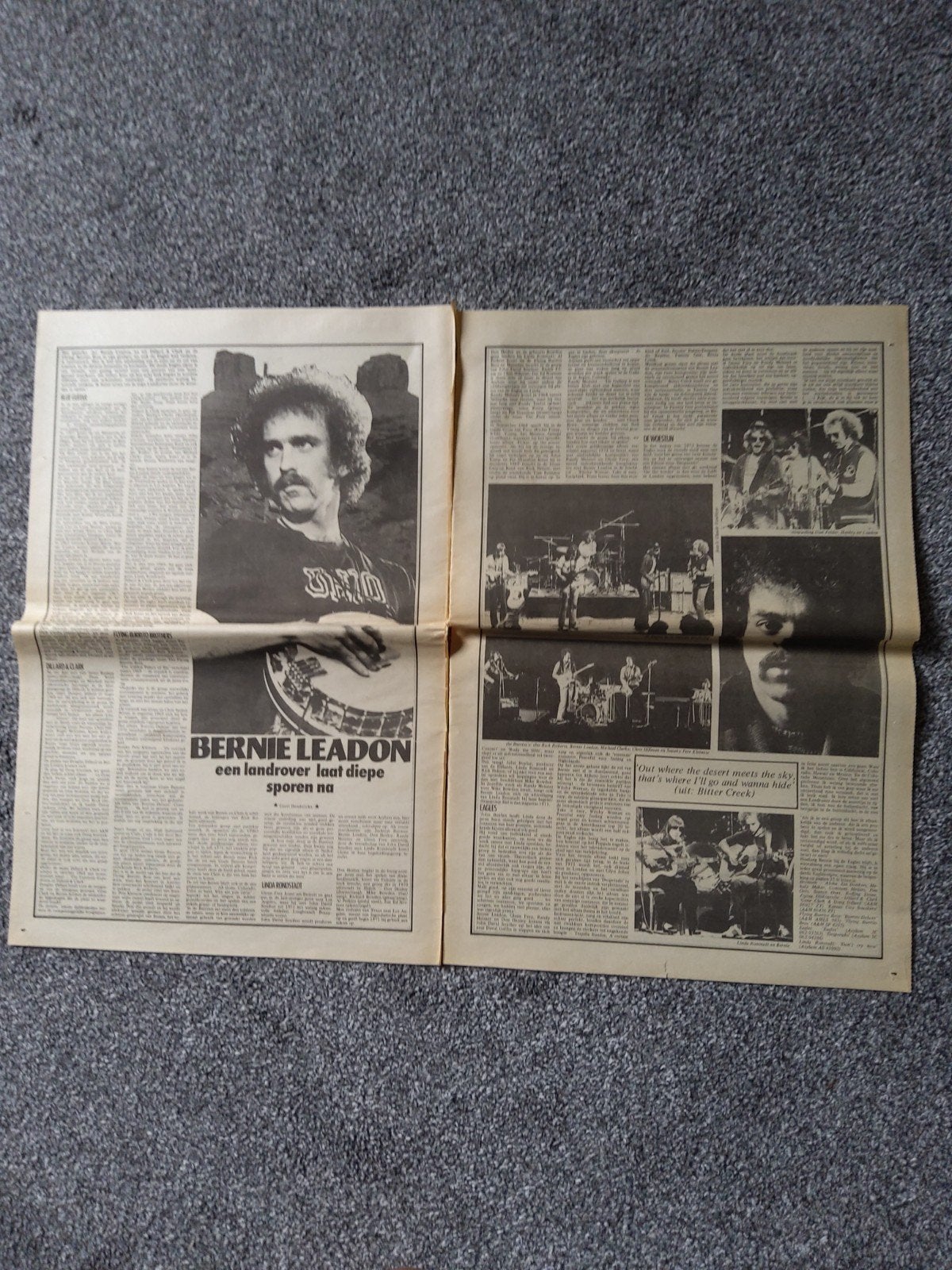 Bernie Leadon:    a3  formaat, Ophalen of Verzenden, Zo goed als nieuw, Boek, Tijdschrift of Artikel