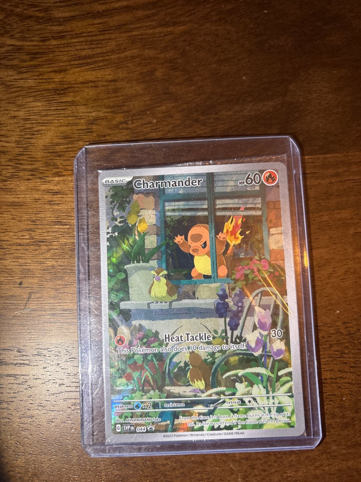 Charmander 044 Promo Pokémon Kaart - Geseald, Ophalen, Nieuw, Losse kaart