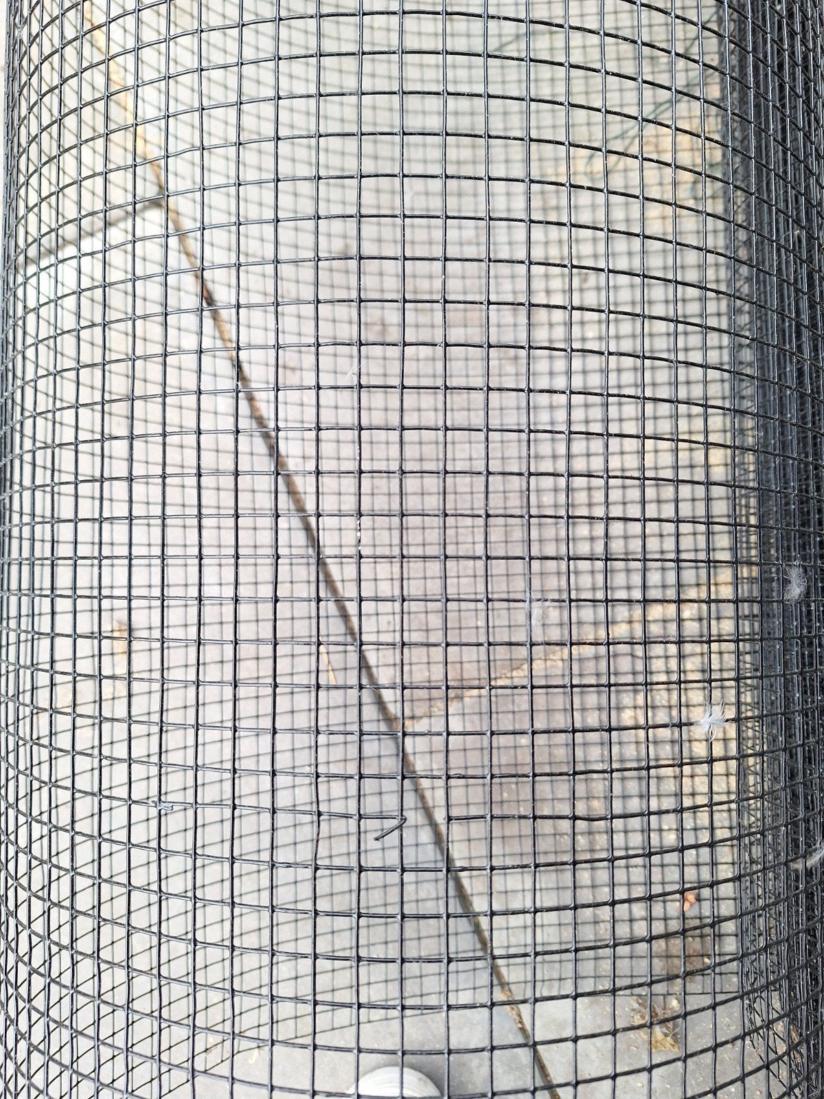 Zwart Volièregaas 12x12mm 1,2mm - ca. 8 meter, Ophalen, Zo goed als nieuw, Minder dan 10 meter, Gaas