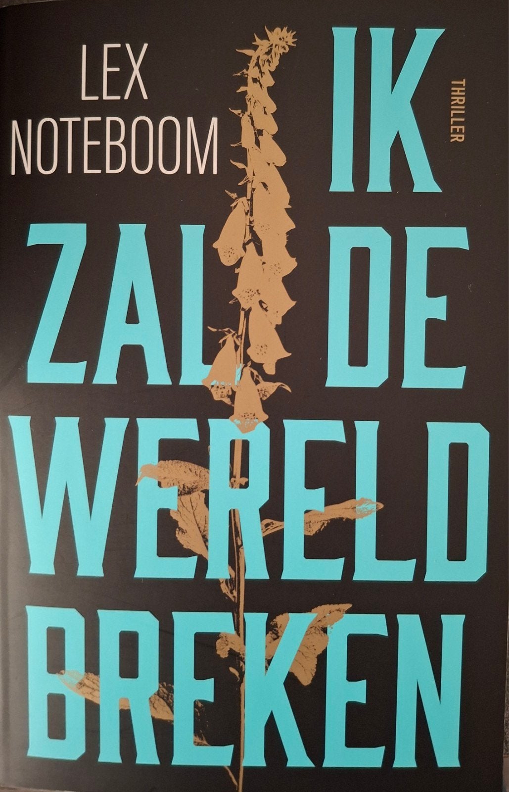 Lex Noteboom - Ik Zal De Wereld Breken (Thriller), Boeken, Ophalen of Verzenden, Zo goed als nieuw, Lex Noteboom, Nederland
