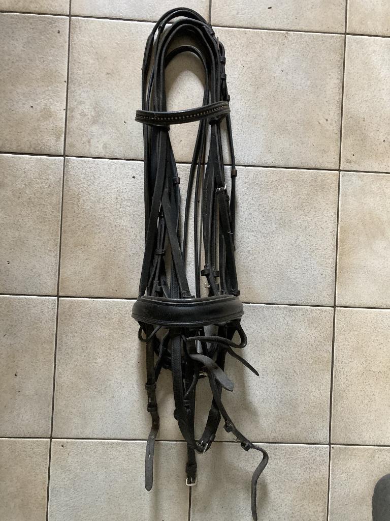 Passier Stang en Trens hoofdstel cob, Dieren en Toebehoren, Ophalen of Verzenden, Gebruikt, Dressuur