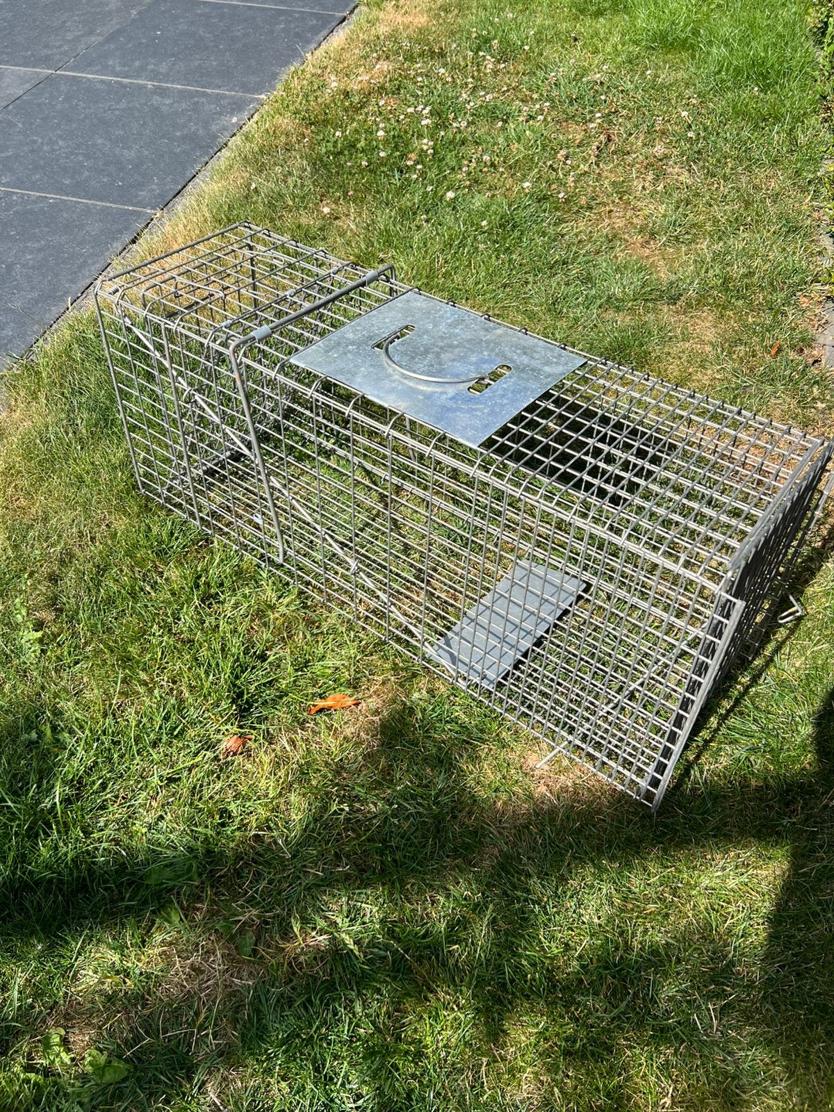 Metalen vangkooi voor katten, konijnen muskusrat 80x26x34 cm, Ophalen of Verzenden, Zo goed als nieuw, Kooi
