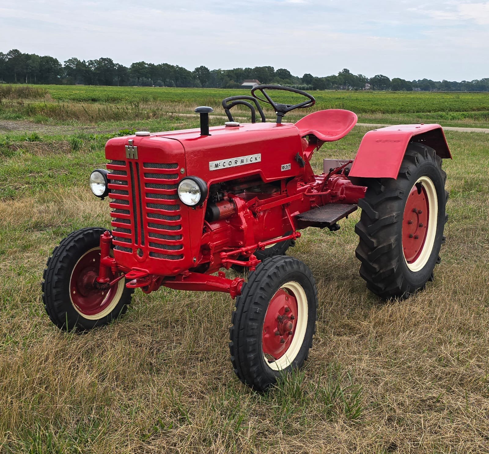 Mc cormick d217, Boeken, Ophalen of Verzenden, Zo goed als nieuw, Tractor en Landbouw