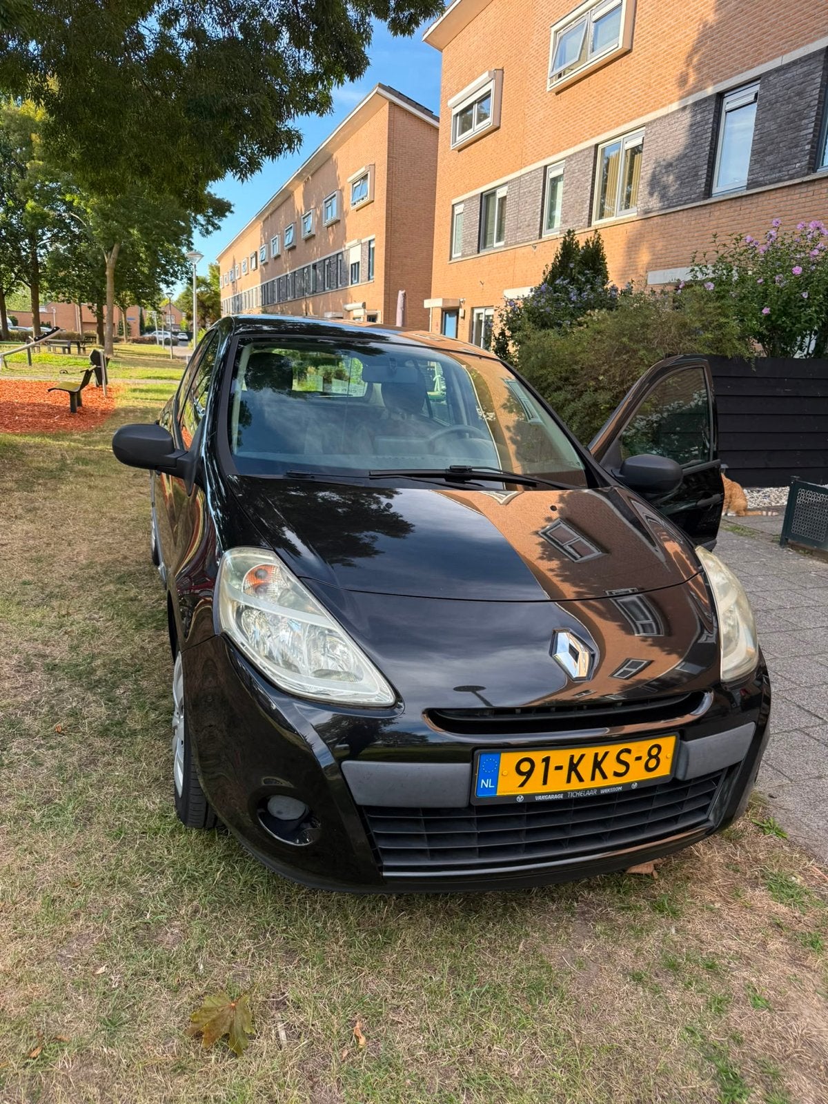 Renault Clio 1.2 16V 55KW 5-DRS E4 2010 Zwart, Voorwielaandrijving, 535 kg, 74 pk, 4 cilinders