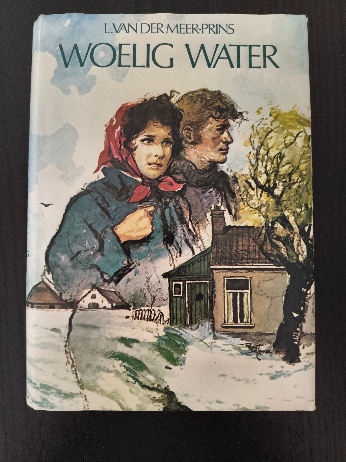 L. van der Meer-Prins - Woelig water, Ophalen of Verzenden, Gelezen, L. van der Meer-Prins, Noord-Holland