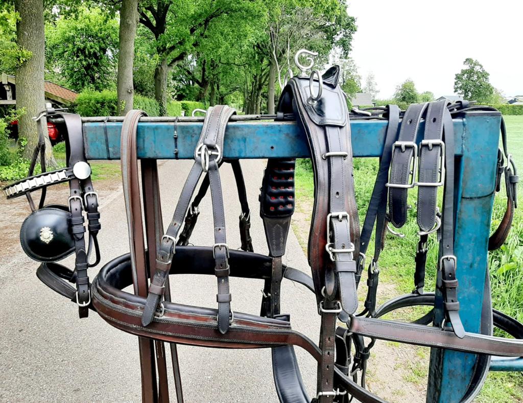 💢 P.CLAESSEN PROF COB//PONY MAAT ENKELSPAN TUIG 550 €., Ophalen of Verzenden, Overige soorten