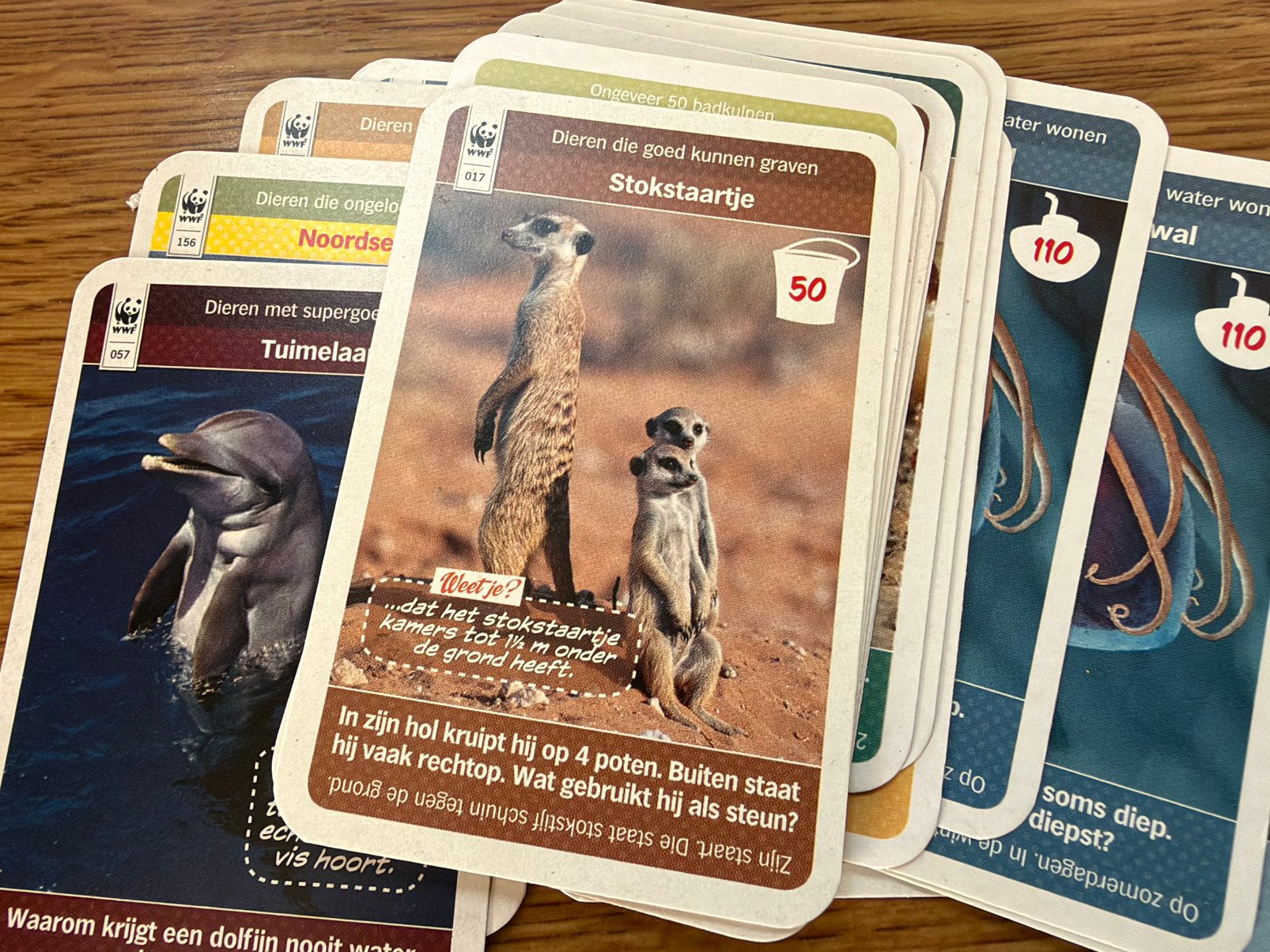 Dierenplaatjes, Ophalen of Verzenden, Zo goed als nieuw, Paard, Beeldje of Figuurtje