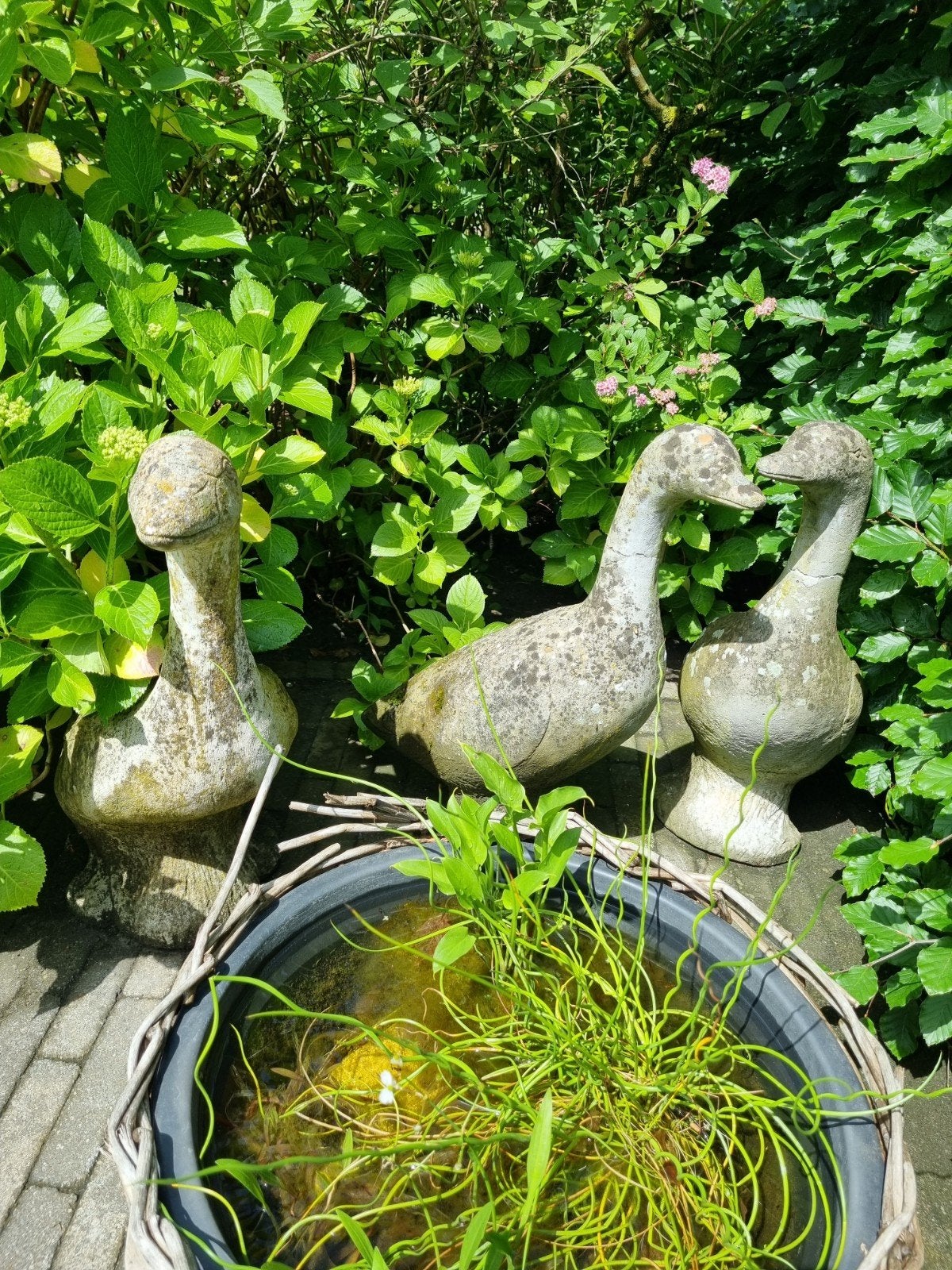 3 landelijke zware beelden gans, Ophalen, Steen