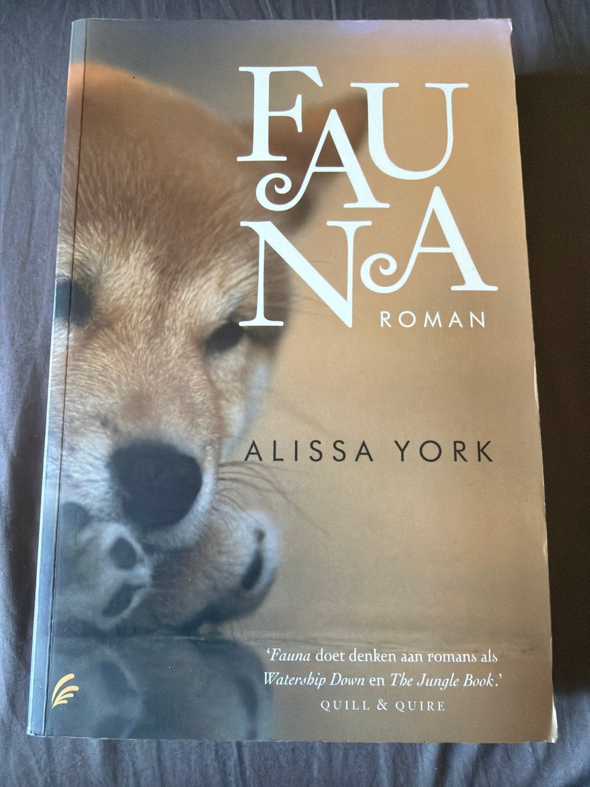 S4.   Alissa York - Fauna, Ophalen of Verzenden, Zo goed als nieuw, Alissa York