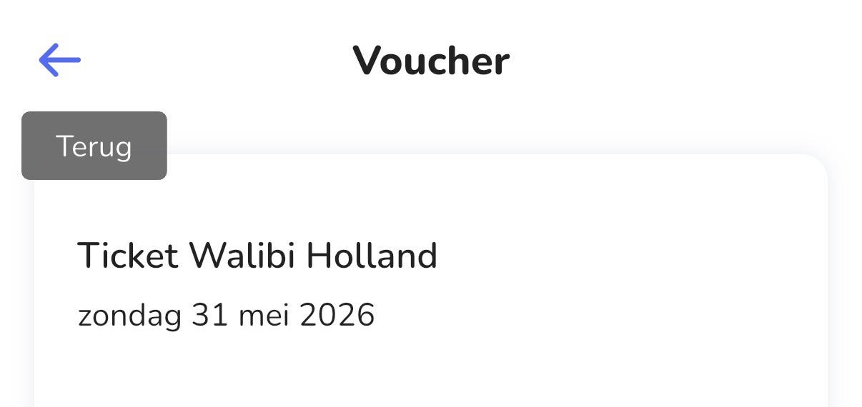 4 x walibi ticket 31-05-2026, Eén persoon, Ticket of Toegangskaart