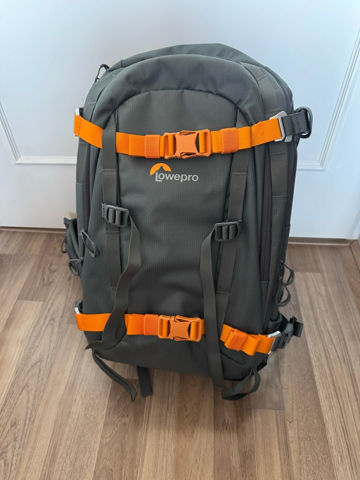 Lowepro Cameratas - Rugtas met verstelbare indeling, Ophalen, Rugtas, Gevoerd, Zwart