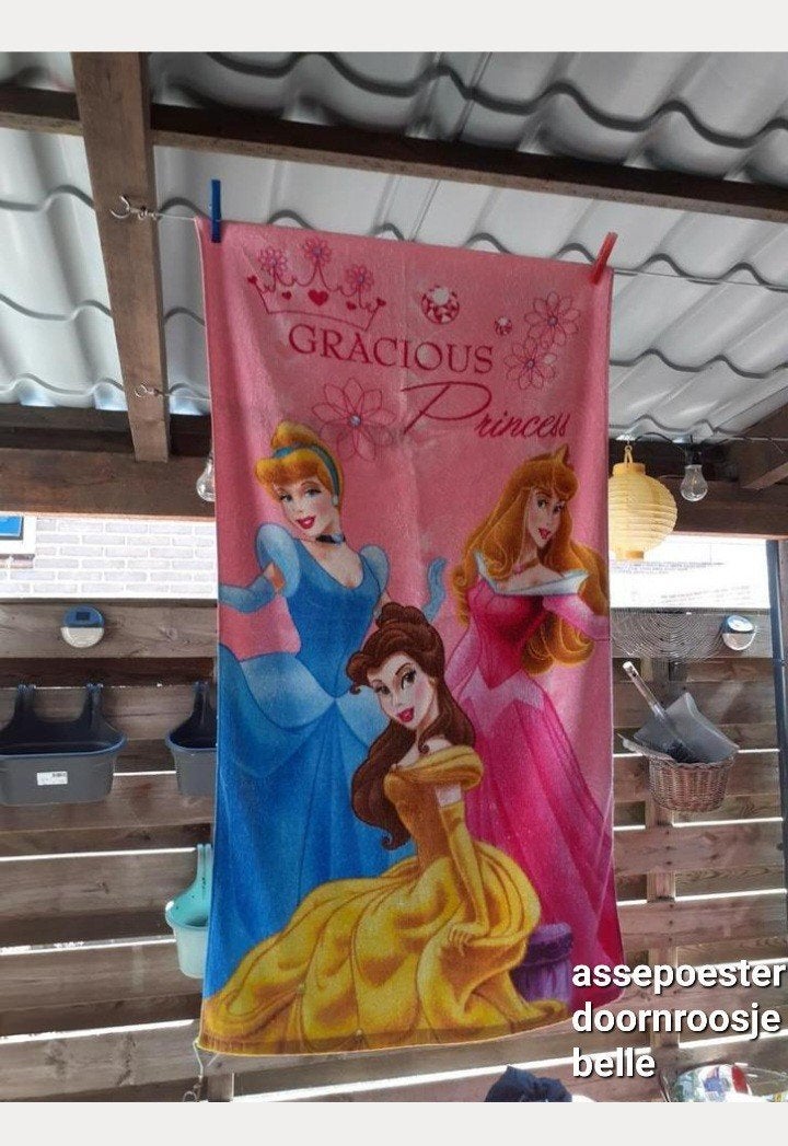 Strandlaken assepoester doornroosje belle princess, Ophalen of Verzenden, Zo goed als nieuw, Handdoek